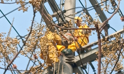 10KV華廣，華高雙回帶電拆火