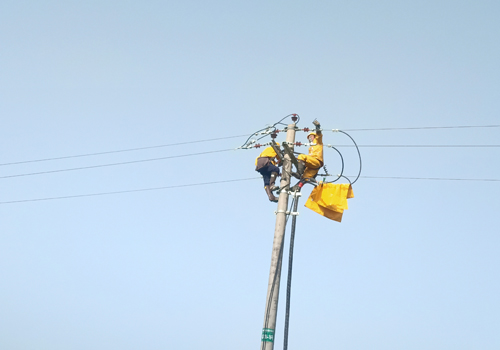 濟南至高清高速公路工程電力設(shè)施遷改工程——不停電作業(yè)項目：帶電拆火現(xiàn)場