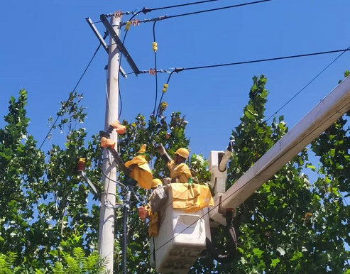 10KV辛南1線溫家支線01號(hào)桿帶電更換領(lǐng)克熔斷器