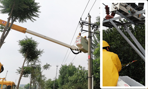 辛天線(xiàn)22號(hào)桿拆處避雷器及引線(xiàn)