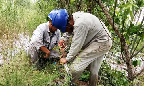 10KV現(xiàn)河線搶修完成，送電成功