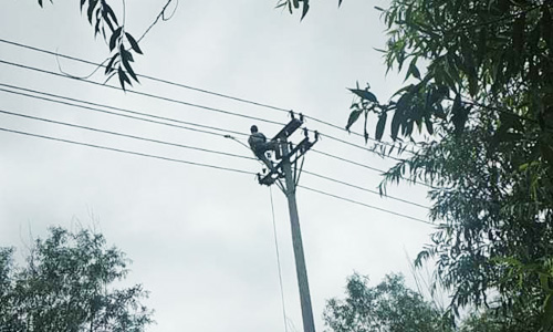 10kV現(xiàn)河線36#桿中項線雷擊落地，完成搶修