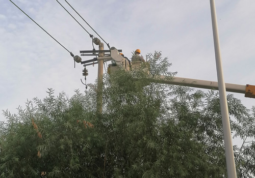 2021年8月19日，嘉揚(yáng)Ⅰ線靜港支線#11桿帶電拆除引線